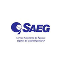 saeg